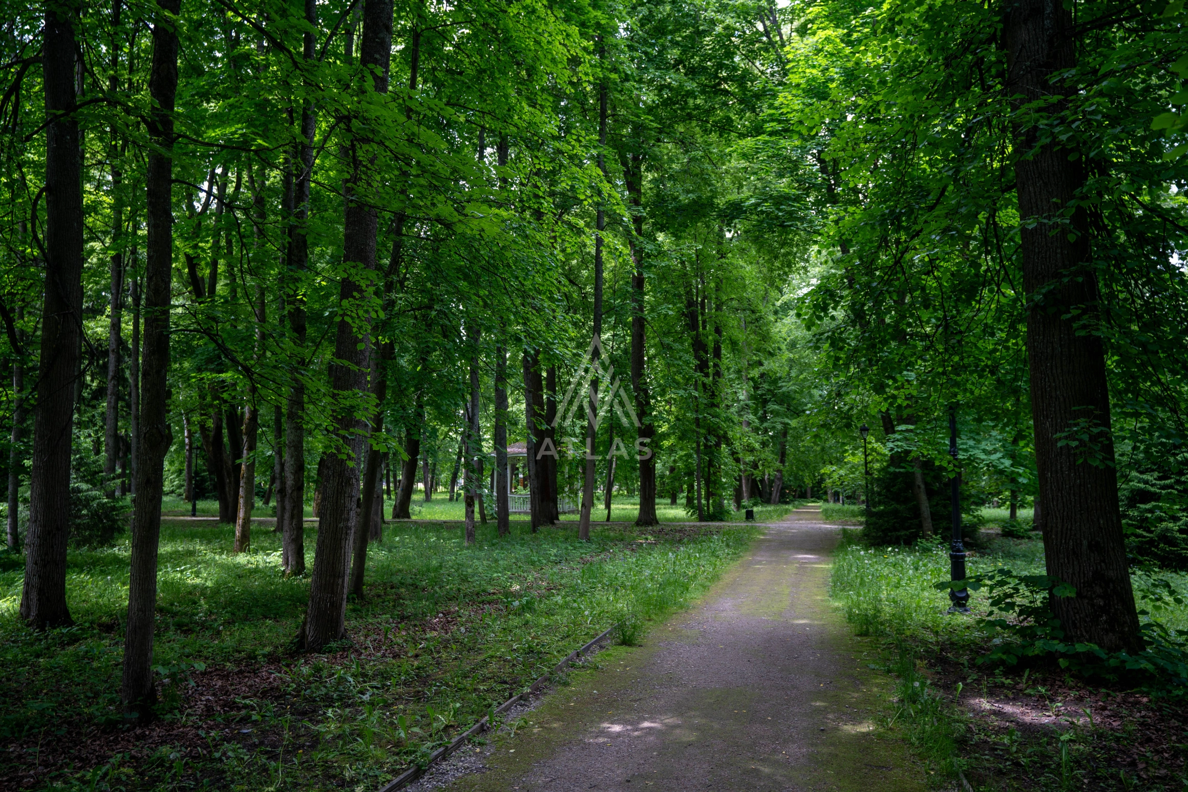 Видовой участок, фото 3