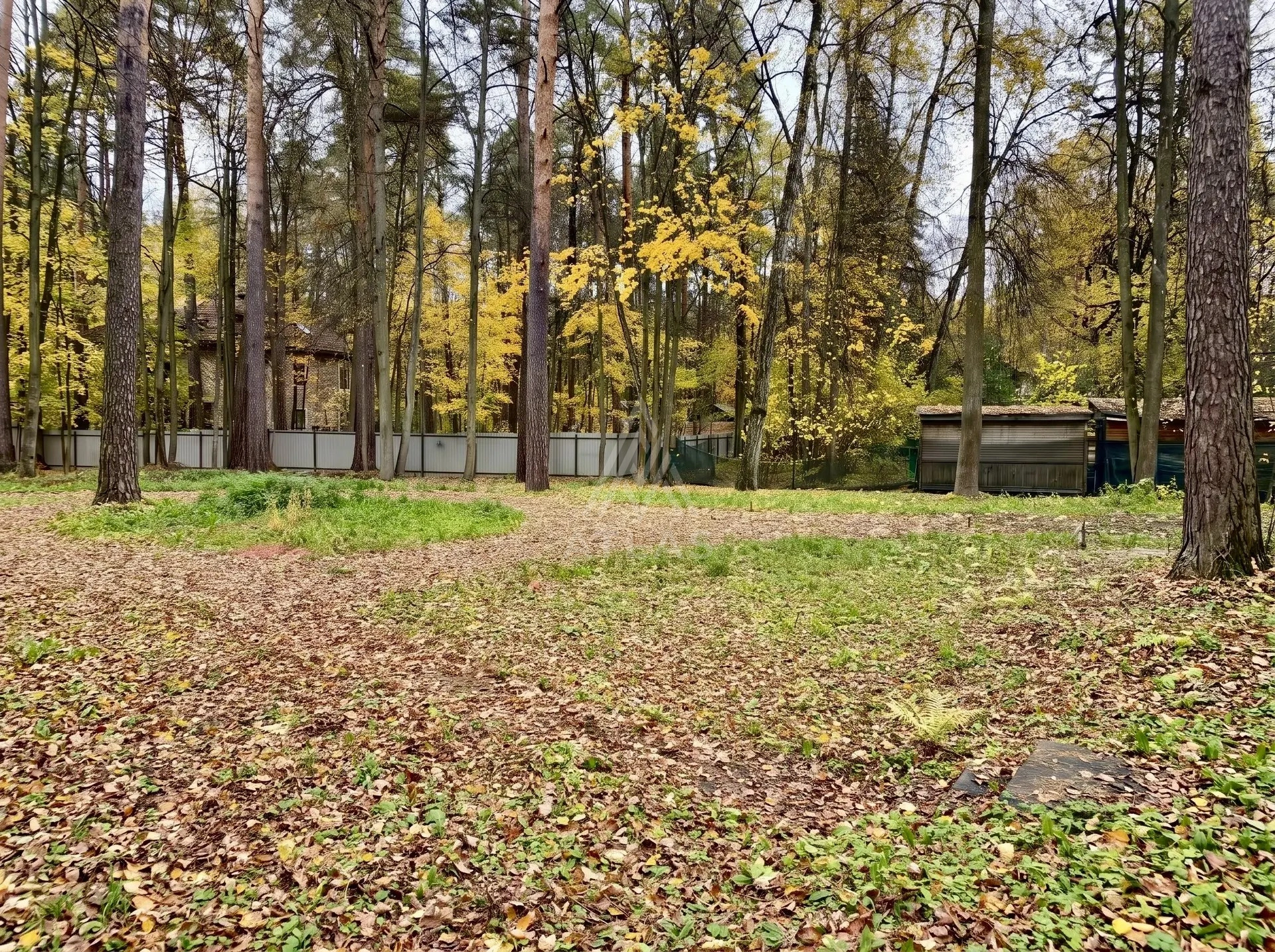 Лесной участок с выходом в парк, фото 1